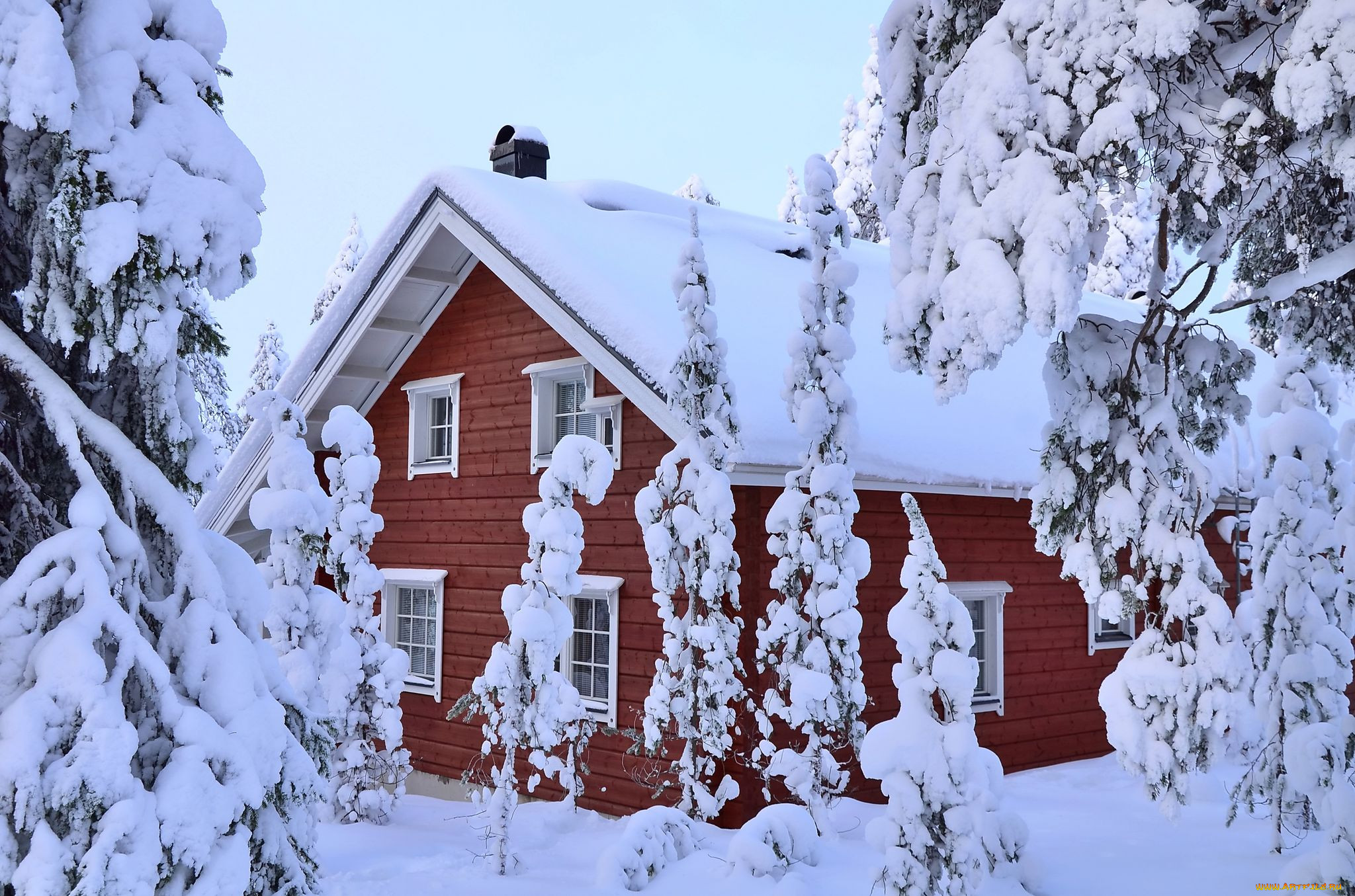 Красивый дом в зимнем лесу